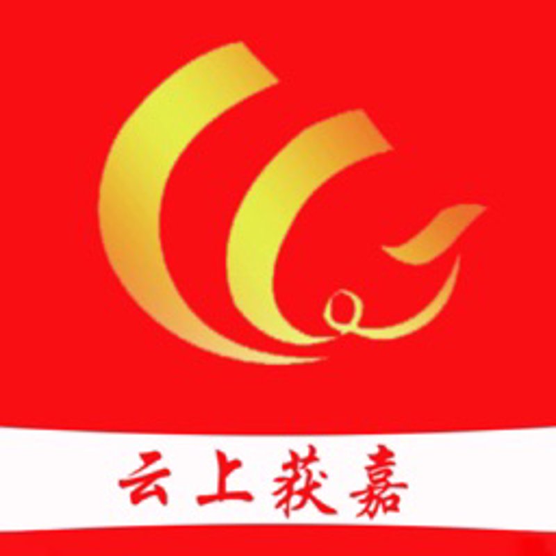 新媒体代运营选购指南